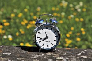Voters to decide on daylight savings
