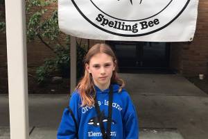 Spelling bee success