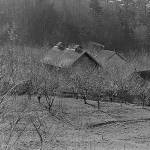 Co-op’s Community Hero Program supports history and preservation