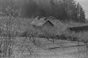 Co-op’s Community Hero Program supports history and preservation