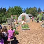 Farm to Classroom program seeking new greenhouse