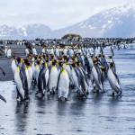 A photographic journey: climate and Antarctica