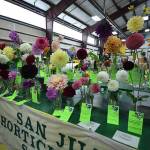 Gearing up for county fair
