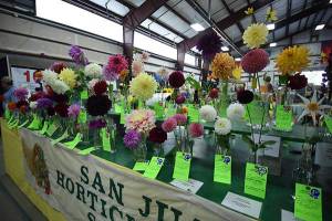 Gearing up for county fair