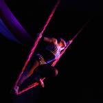 Do not miss ‘Cirque-US’