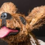 New exhibit at Orcas Island Historical Museum