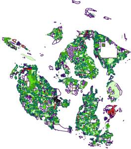 Participate in the first step of the land capacity analysis