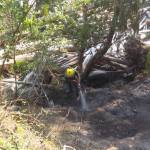 Quick response to wildfire on Shaw