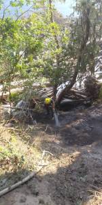 Quick response to wildfire on Shaw