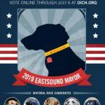 Annual Mayoral race goes to the dogs