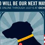 Annual Mayoral race goes to the dogs