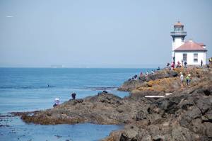 20th annual Orca Sing