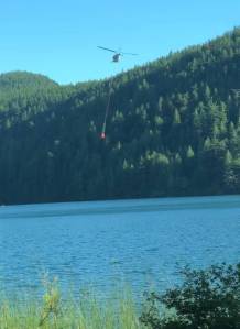 Wildfire in Moran State Park