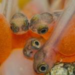 Florian Graner photo