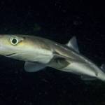 Florian Graner photo