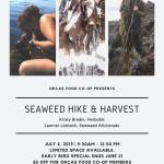 Seaweed Hike and Harvest