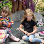 Orcas’ first Pride a success | Photos