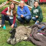 Emalyne Babcock, Amy Lum and Rachel Lum helped rescue Louise the emu on June 27.
