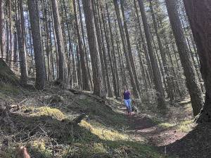 State grants $3.9 million to county for outdoor preservation