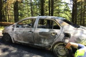 Orcas Fire extinguishes car blaze in Moran