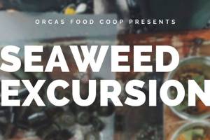 Seaweed Excursion – back by popular demand!