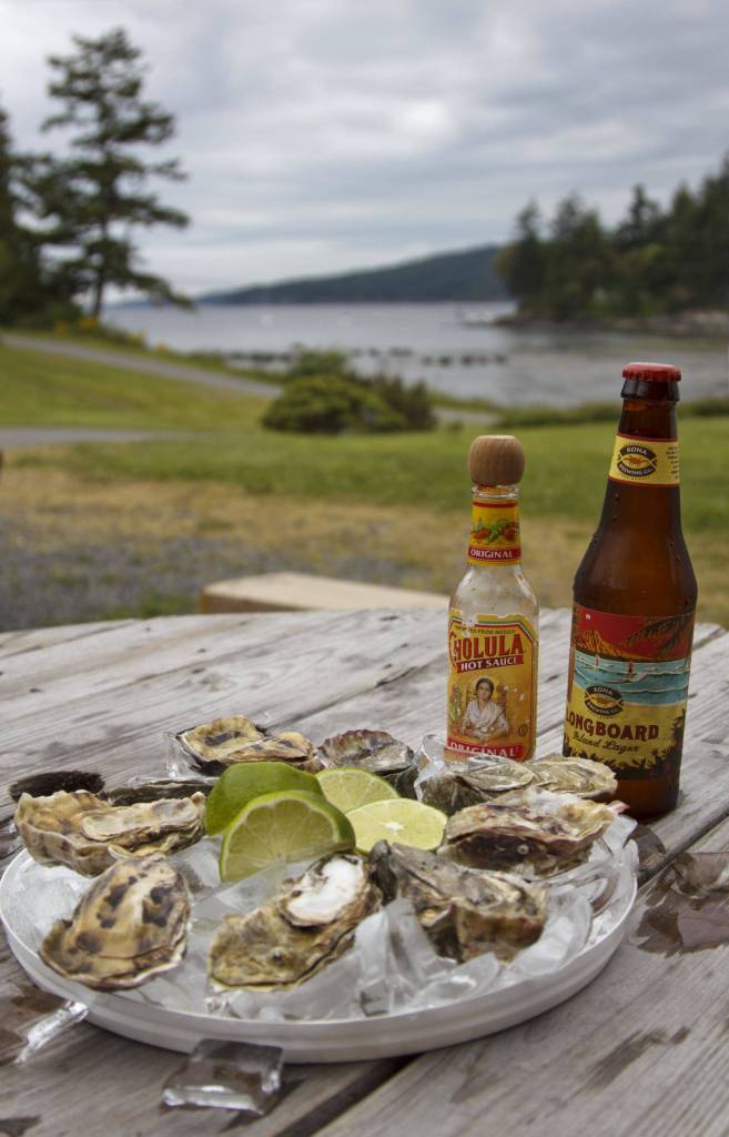 Lunch at Buck Bay with the Orcas Senior Center