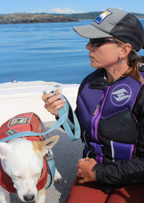 An ecosystem out of balance | Dogs help study whales by searching out their scat in the sea