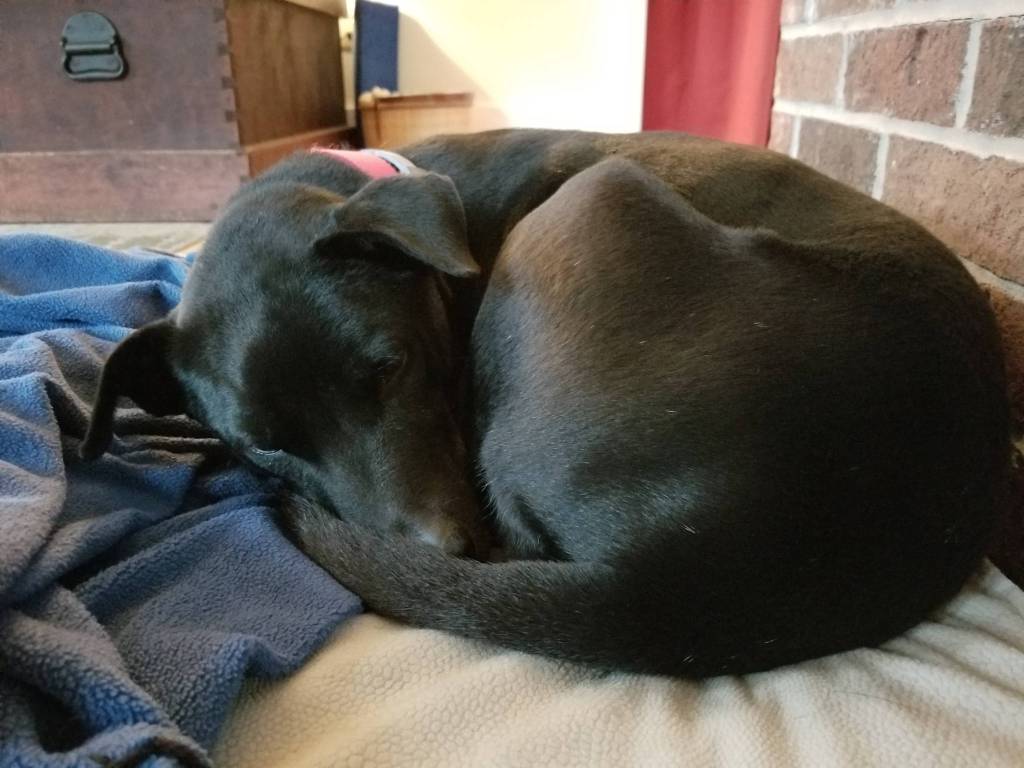 Jacky is still available.