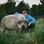 “The Biggest Little Farm” film screening