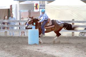 Josh Kramer wins two awards at the fair