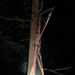 Contributed photo                                Lightning stuck several trees just after midnight on Sept. 8