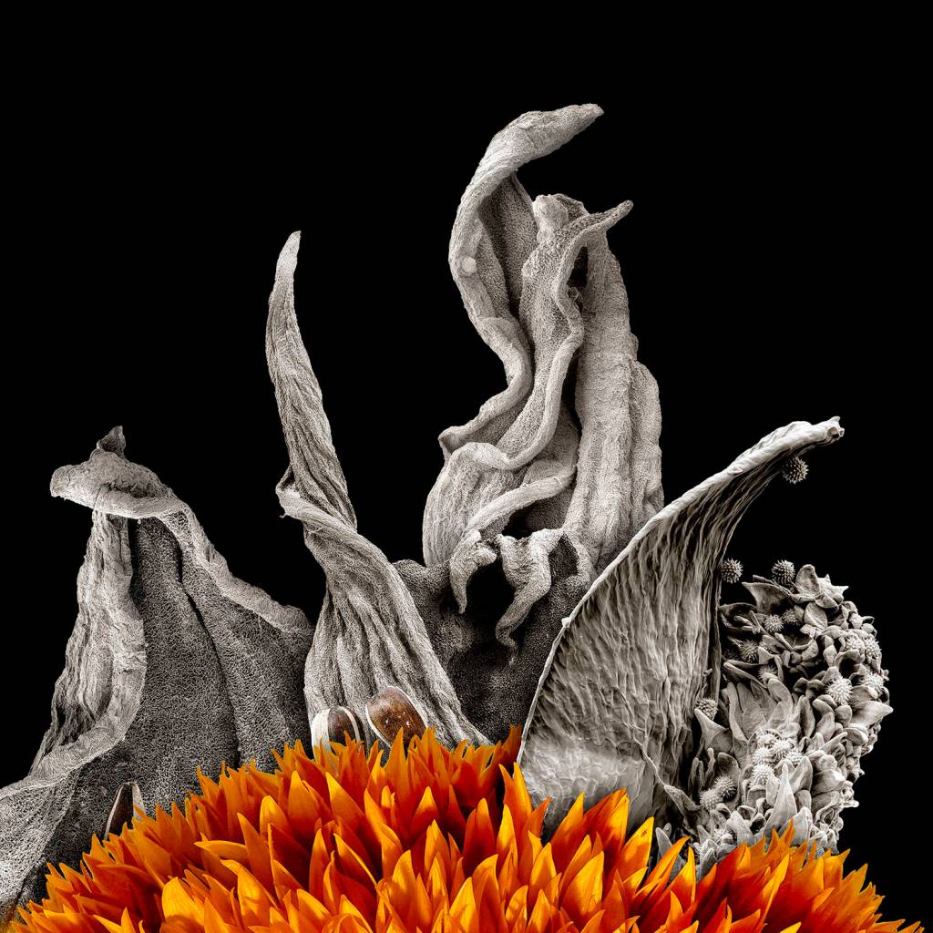 Robert Dash exhibit opens on San Juan Island