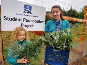 OCS turns lawn into ‘Giving Garden’