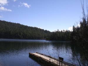 PCBs found in Mountain Lake are ubiquitous
