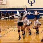 Viking sports update