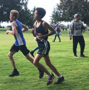 Last week in Viking sports