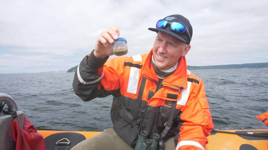 Seadoc launches second season of “Salish Sea Wild”