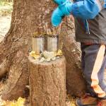 Student-led structure means using sticks to showcase the number of activities left in the day before its time to go home