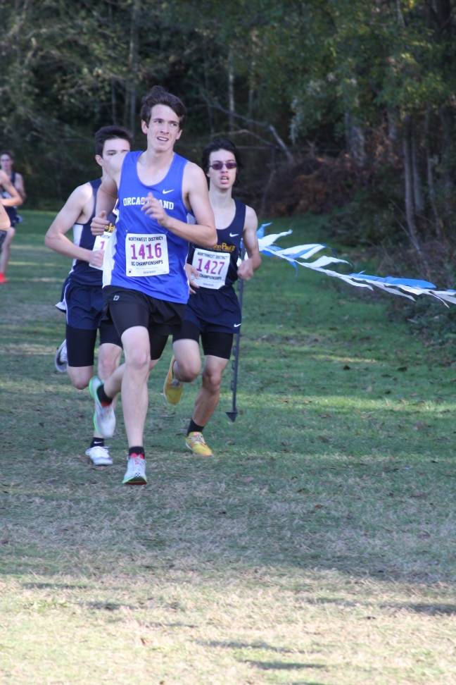 Alyson Stephens/Contributed photo                                Vikings compete at the district meet for cross country.