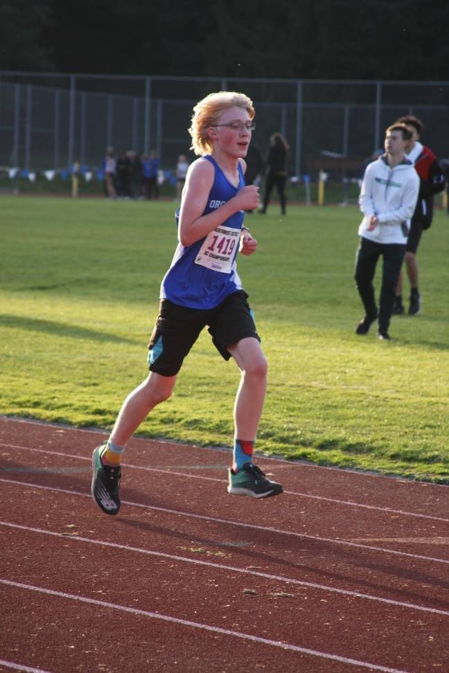 Alyson Stephens/Contributed photo                                Vikings compete at the district meet for cross country.