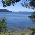 Washington State Parks acquires 134-acre Point Lawrence property on Orcas