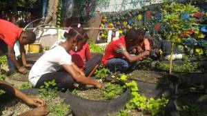 Learn about how food matters