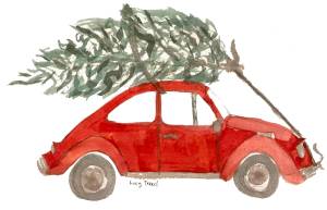 Christmas Tree Sale and Winter Festival