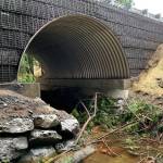 Contributed photo | Fin!