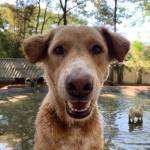 Kere. (Contributed photo.)