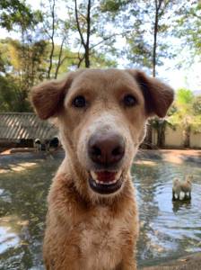 Kere. (Contributed photo.)