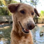 Kere. (Contributed photo.)