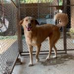 Kere. (Contributed photo.)