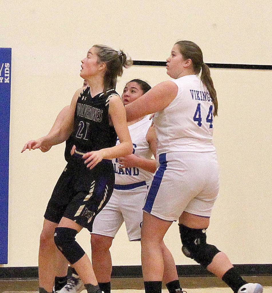 Vikings beat Wolverines