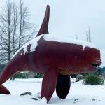 Whale of a Show rescheduled for Jan. 31